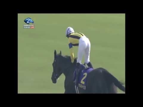 Yushun Himba (Japanese Oaks) 2017 -  Soul Stirring