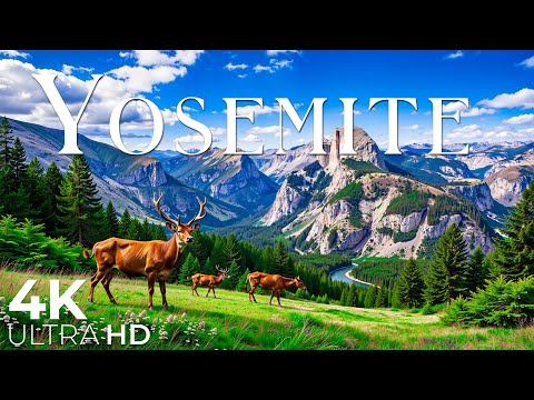 Yosemite National Park 4K Ultra HD 🏞️✨ • Stunning Footage, Scenic Relaxation Film