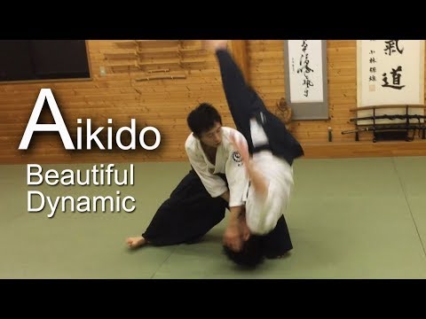 Aikido Dynamic and technical skills - Shirakawa Ryuji shihan