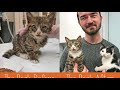 Furkids Inc