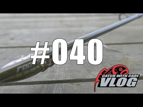 BFT Roots G2 Pike Finesse - CWC VLOG #040