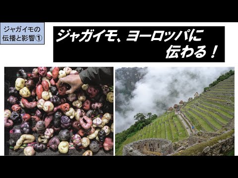 歴史文化学科 「『新大陸発見』と食文化の変化」第１回　ジャガイモ、ヨーロッパに伝わる！