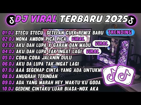 DJ TIKTOK TERBARU 2025-🎵 DJ DJ STECU STECU STELAN CUEK REMIX 🎵 DJ COBA COBA JALANIN DULU FULL ALBUM