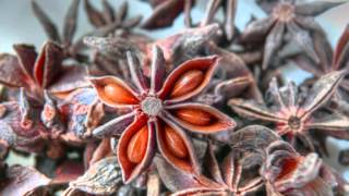 Anthony Collins - Blossom