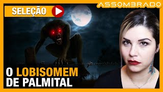 NA SEGUNDA NOITE ELES ENCONTRARAM A ENORME CRIATURA “O LOBISOMEM DE PALMITAL”