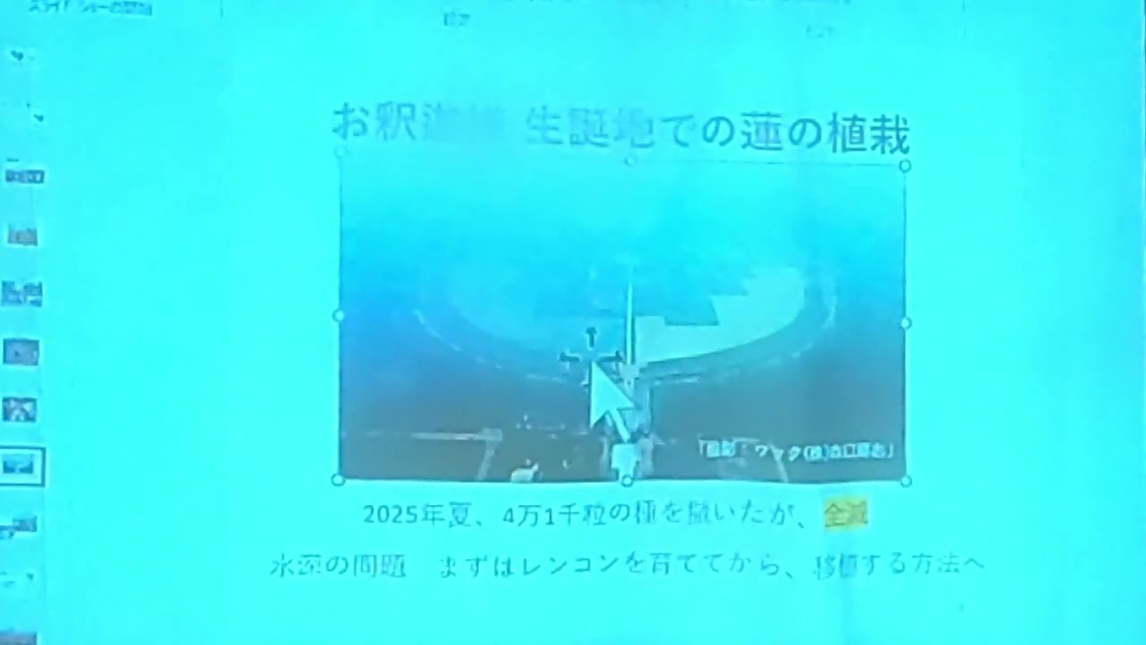 お釈迦様の蓮を咲かせる冒険　世話人会帰国報告　260221