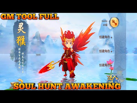 Soul Hunter Awakening Gm TooL Full Private Server CN