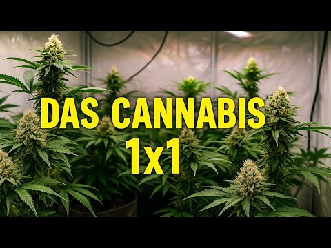 Motivated Passion and 3 more