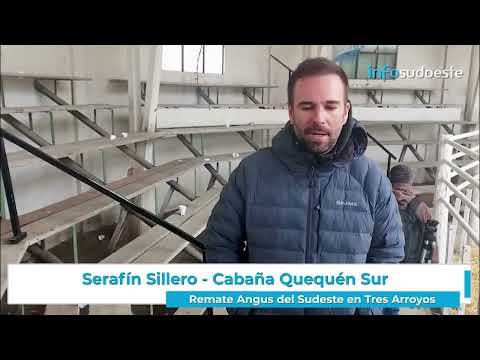 Remate Angus del Sudeste en Tres Arroyos