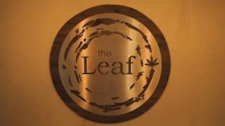 The Leaf NY - Beacon Storefront Walkthrough