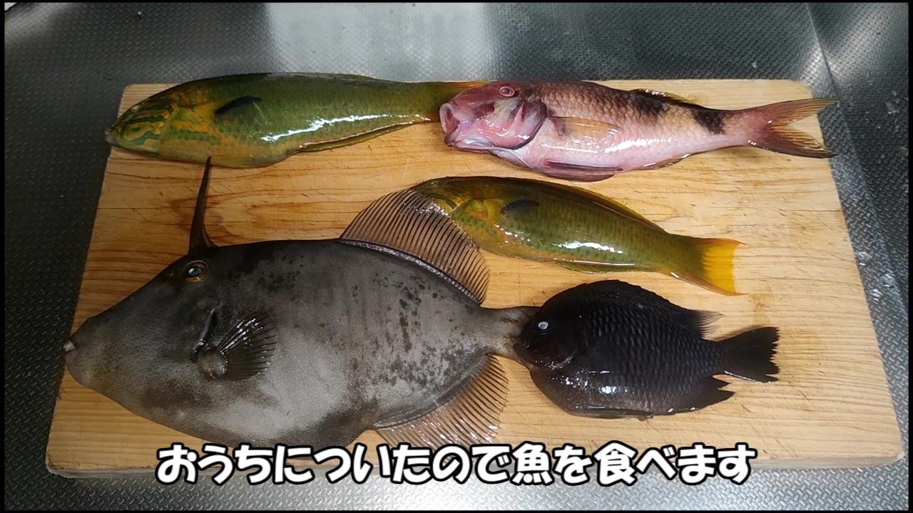 ブス４人と行く三宅島　おじさんの火あぶり