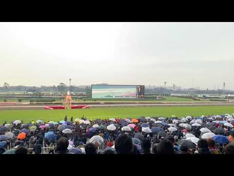 2018.12.22 中山大障害《J.GⅠ》《ニホンピロバロン＆石神深一》