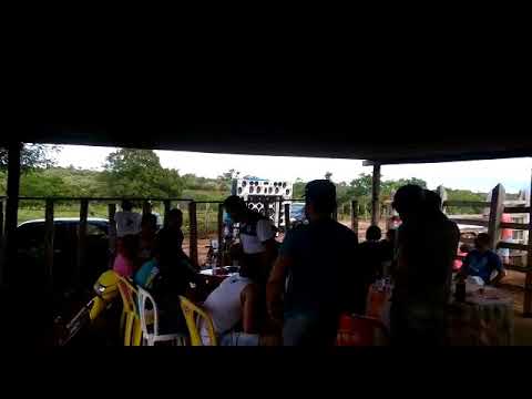 Carretinha dois irmãos tocando bem auto