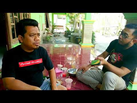 toni-belok-kirirejekihumorjowolawak