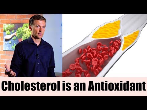 The Real Purpose of Cholesterol – Dr Berg on Cholesterol levels Part 1