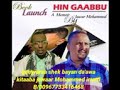 Hin Gabuu