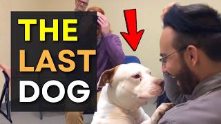 We Let Dogs Pick Their Families on Adoption Day And THIS Happened 😢