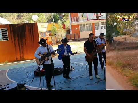 El Jefe Del Cartel _ El Diamante de la Sierra