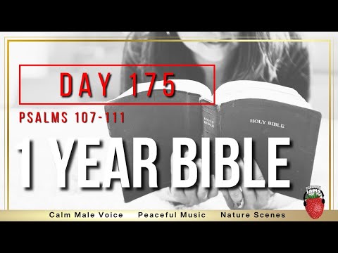 Day 175 | Psalms 107 - 111  | Audio Bible | NIV | One Year Bible