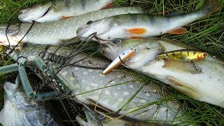 Воблер pontoon 21 greedy guts 66f-mdr