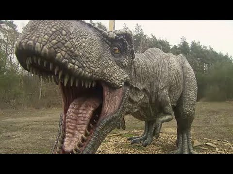Der Dinosaurier-Park Münchehagen