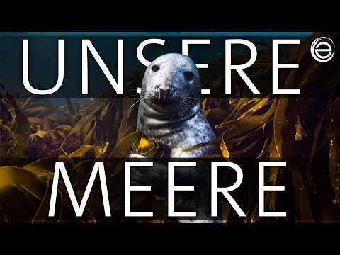 Unsere Meere (Folge 1) Naturwunder Nordsee | Erlebnis Erde