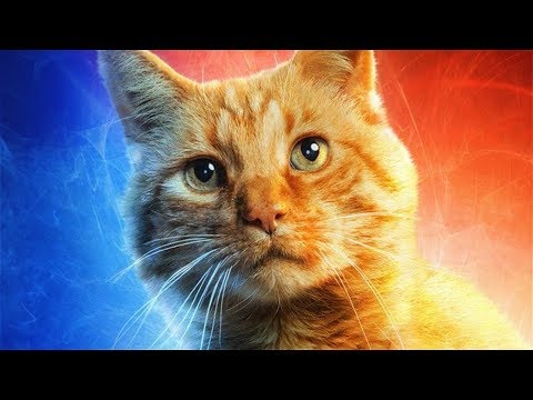 Why Goose Is Way More Important Than You Realize