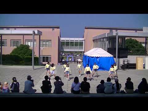 Girls 2017海遊祭 Day2