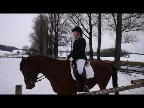 VDT 2te Etappe medium youngsters