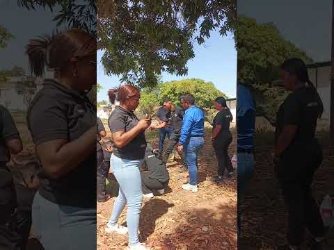PNF en Geociencias de la UTP Bolívar. Estudiantes de los trayectos II y III municipio Sifontes.