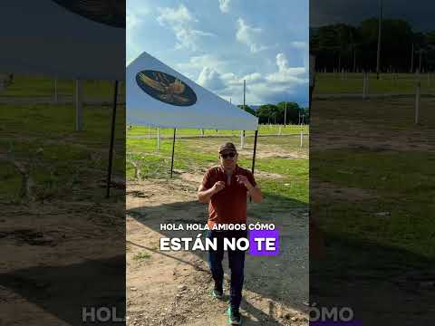 Últimos lotes espinal tolima #guiainmobiliaria #espinal #invierteseguro