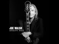 JOE WALSH   ONE DAY AT A TIME   YouTube