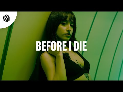 Sherman de Vries, Navaro & Sheeran - Before I Die