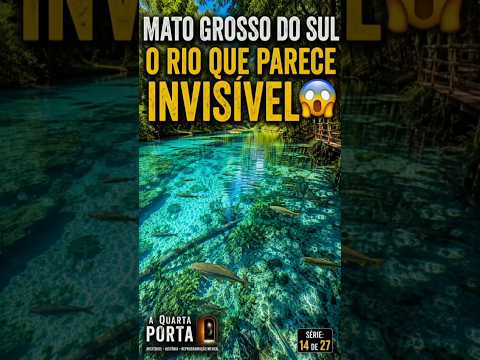 🇲🇸 Mato Grosso do Sul – O Rio Onde a Água Parece Desaparecer 💙✨ | Série: 14 de 27