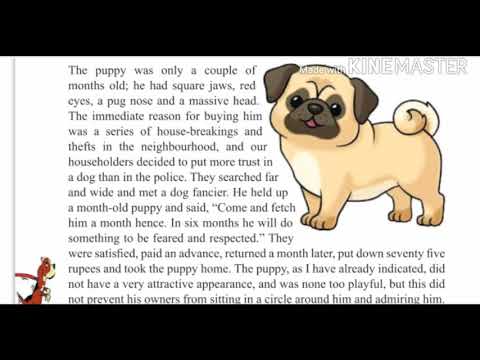 Class 7,Unit 1A,ATTILA (Part 1),J.C.E.R.T based