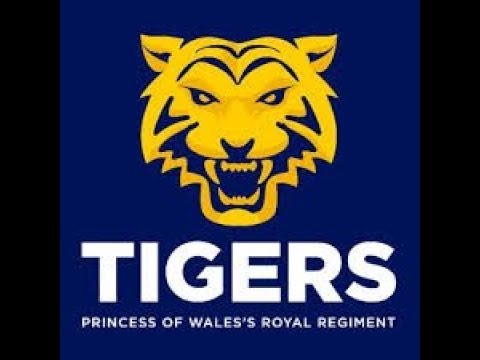 princess of wales royal regiment (pwrr) documentary
