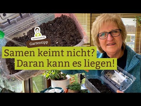 Seeds not germinating? This could be the reason why the seeds are not germinating