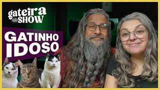 Seu GATO está ENVELHECENDO | Gateira Live Show #016