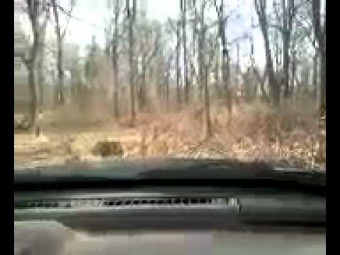 Avonmore Pa....in the Mud brotha