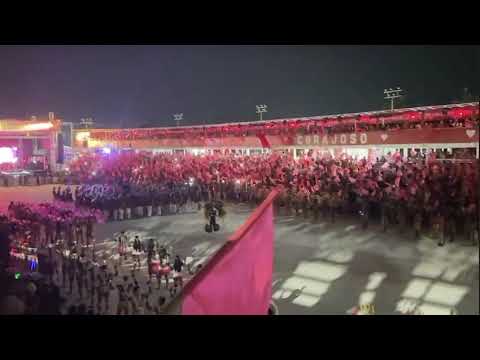 BOI CORAJOSO BENJAMIN CONSTANT AMAZONAS 