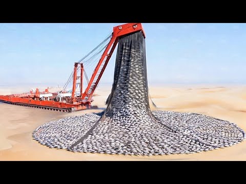 China Dumps Billion Fish Into Drying Land With No Water, Result Shocked Everyone