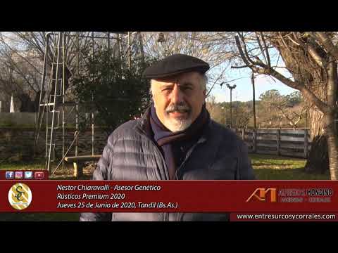 25-06-20 - Nestor Chiaravalli - Asesor Genético - Rústicos 2020 - Tandil