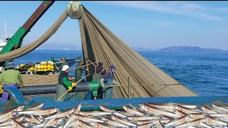 Download lagu South Korean fishing technique catches fish, abundant results mp3 Download lagu South Korean fishing technique catches fish, abundant results mp3