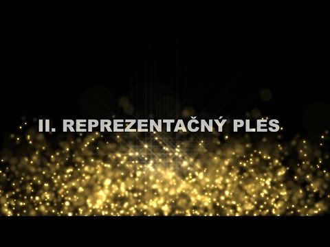 6. fotografia fotogalérie Videogaléria