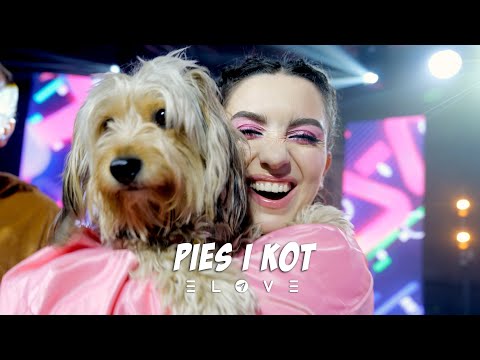 eLove - Pies i Kot [Official Music Video]