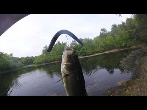 Bass Fishing