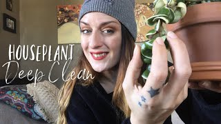 Houseplant Propagation Tour + Pest Treatment | #Vlogmas2019  Ep. 9