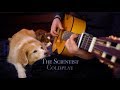 Coldplay - The Scientist (Fingerstyle Guitar Cover)