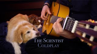 Download lagu The Scientist - Coldplay (Fingerstyle Guitar) mp3