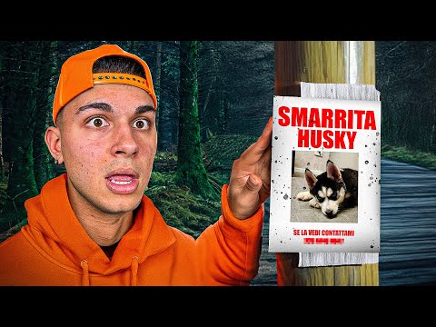 Il Cane di SOS è SCOMPARSO!